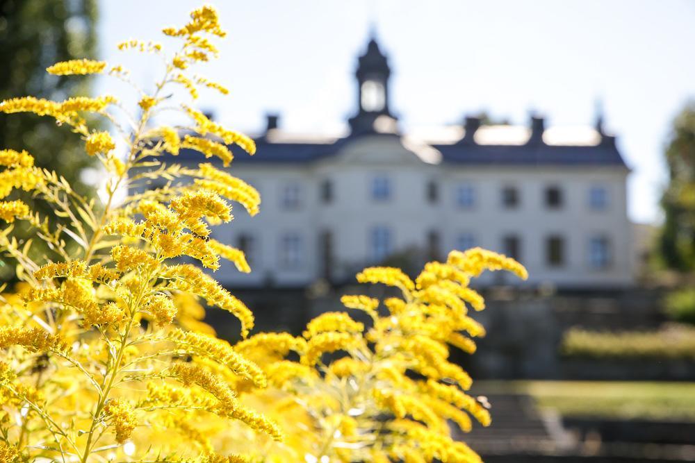 Kaggeholms Slott Ekero Ngoại thất bức ảnh